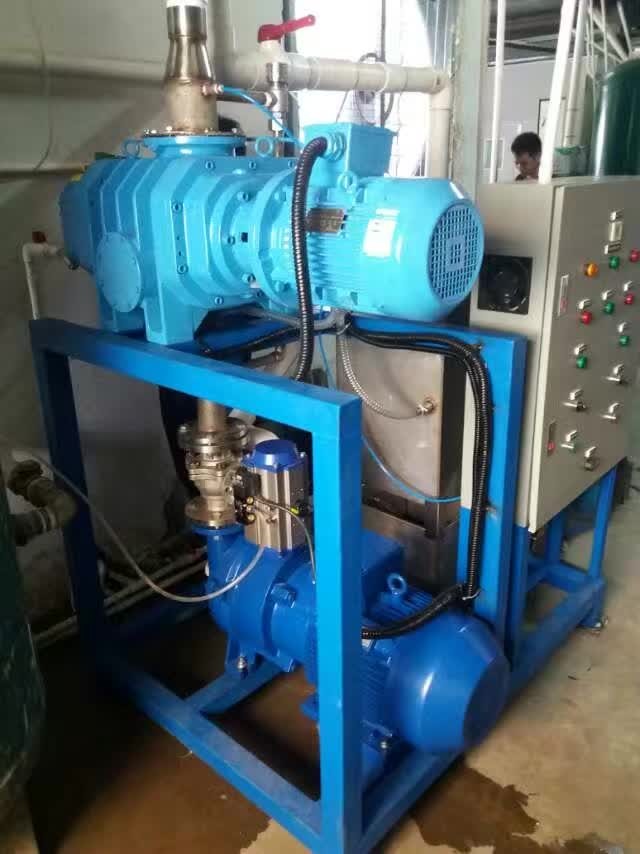 冷冻干燥过程中用真空系统